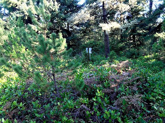 4th image of 5863 NW Pacific Coast Hwy