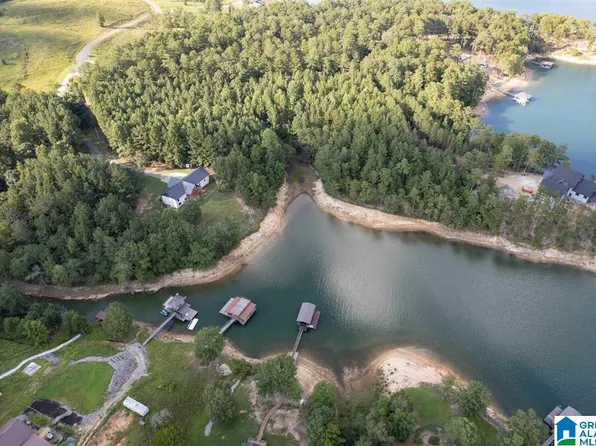 LOT D Camp Jimmy Goodwin Rd Lot D, Jasper, AL 35503