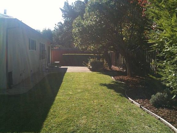 Back yard and patio area