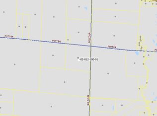 11863 Potter Rd, Bear Lake, MI 49614