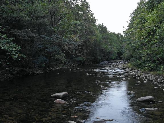 4th image of 6193 Crabtree Falls Hwy