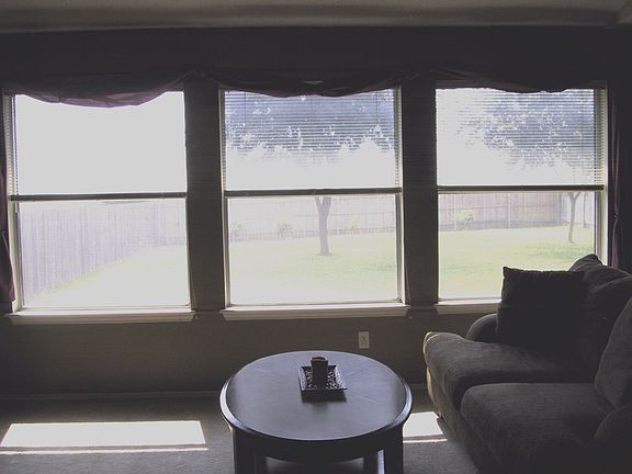 View from Back Living Area into Back Yard