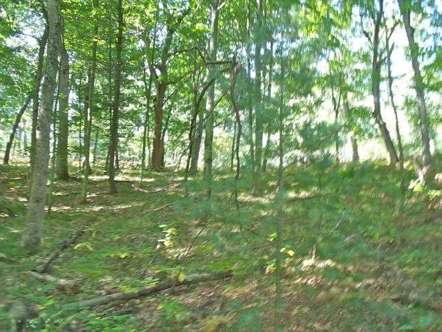 2nd image of Crystal Lake Rd