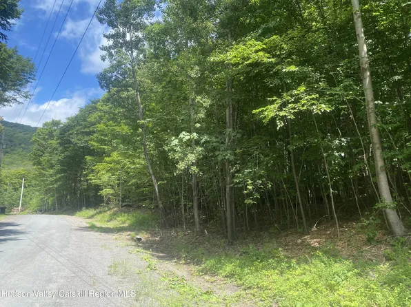 140 Arbor Road, West Kill, NY 12492