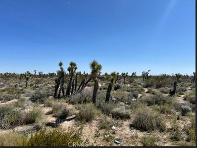 0 Vac Vic Ave X14212 Ste, Llano, CA, 93544