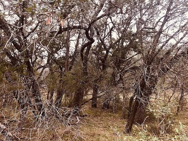 1st image of 1090 Whitetail Dr