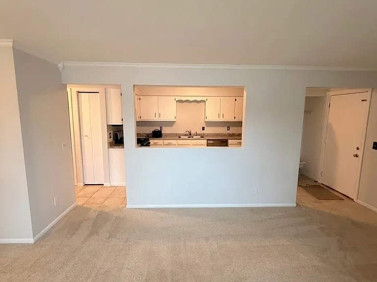 2390 Bicentennial Ave #8 — Photo 12