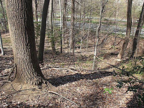 3rd image of 15896 Nightingale Place