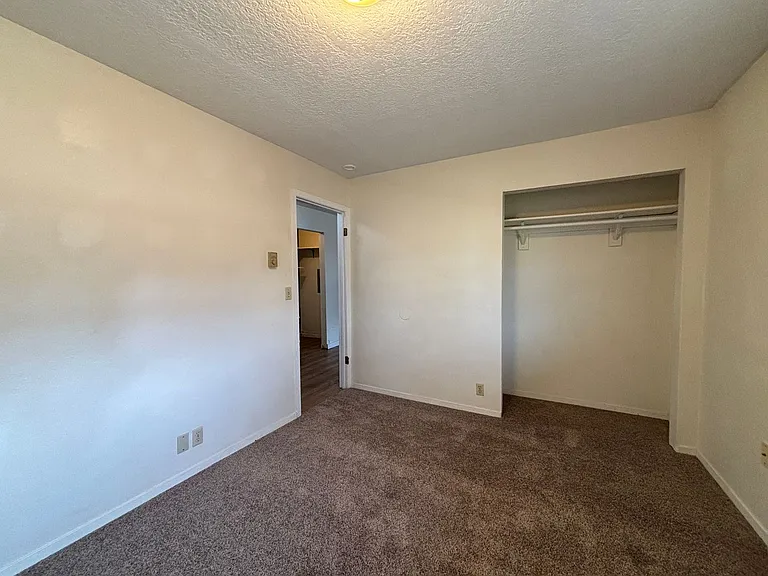98 Jackrabbit Ln — Photo 5