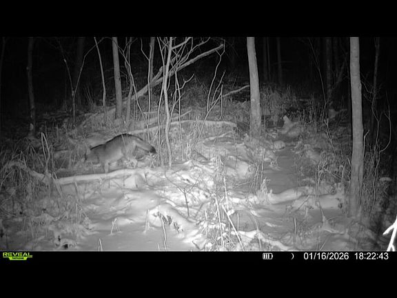 4th image of Dewey Rd