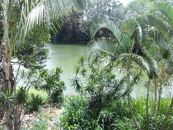 Lake Wilson frontage