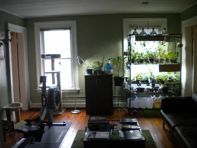 117 Nicoll St #2 — Photo 9
