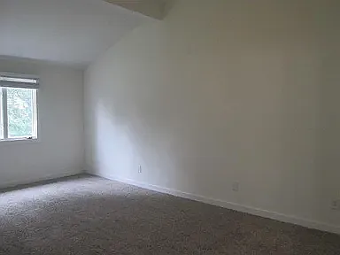 Top Of The Pines Ct — Photo 6