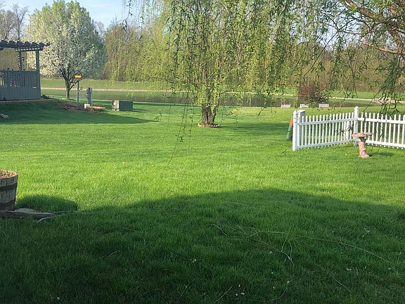 View of pond from back yard