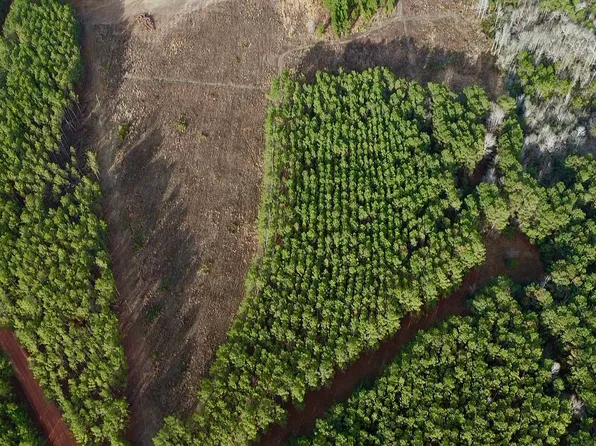 0 Harmony Ln Lot 10A, Milan, GA 31060