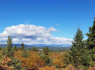 195 Cameron Pl, Pagosa Springs, CO 81147