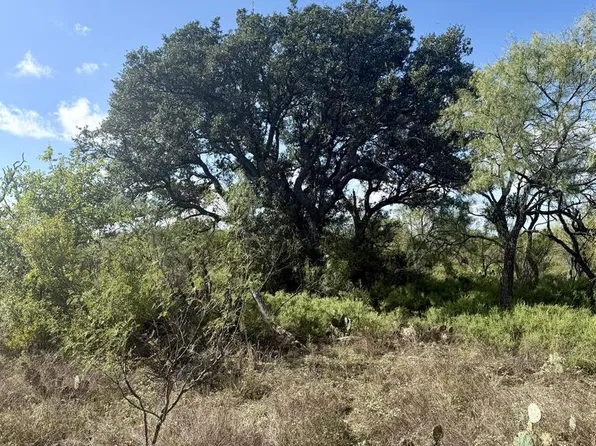 1981 Kothmann Rd, Mason, TX 76856
