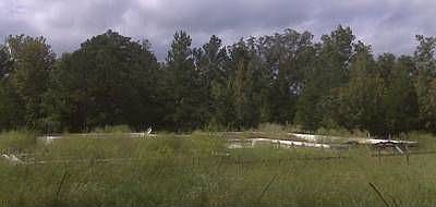 1st image of 229 Treeside Dr