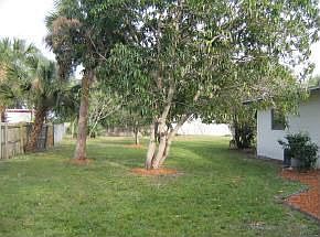 mature fruit trees