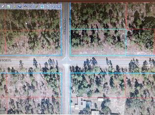 SE 136th Ter LOT 13, Dunnellon, FL 34431