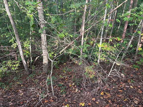 4th image of LOT 8 Madison Ln