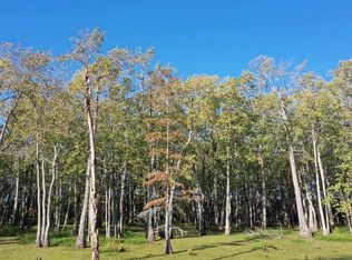 County Road 549, Minter city, MS 38944