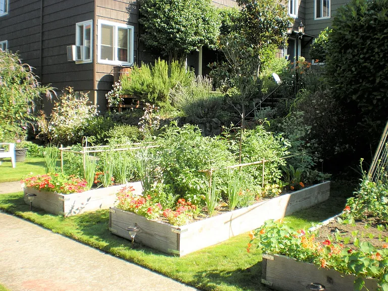 The Lindhurst — Photo 13