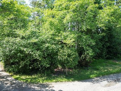 Y Ln #11-12, Ocean Park, WA, 98640