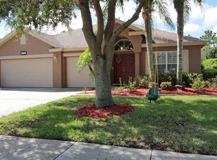 17711 Currie Ford Dr, Lutz, FL 33558