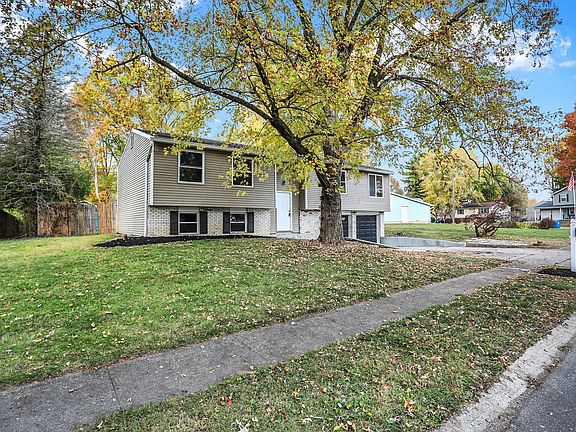 3rd image of 8138 Palmetto Ln