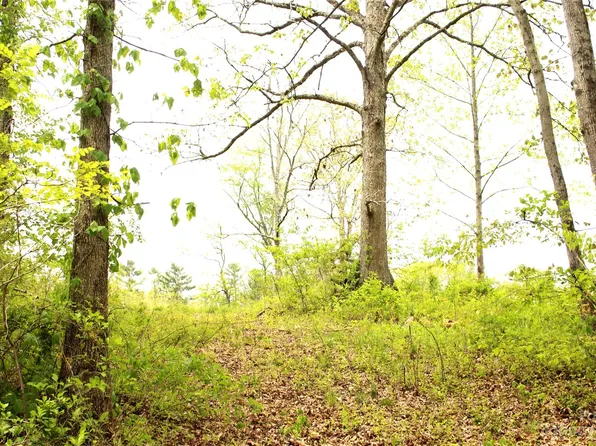 99999 Fletcher Martin Rd, Alexander, NC 28701