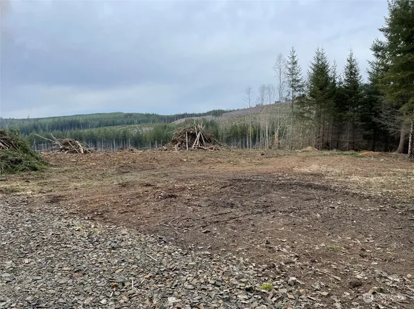 964 Salmon Creek Road, Mossyrock, WA 98564