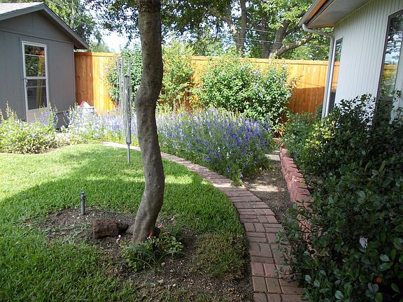 Back yard