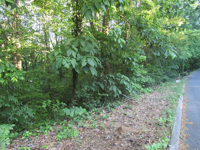 2nd image of Bridlewood Dr