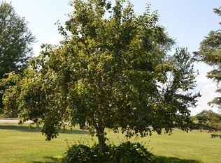 23404 Bolender Pontius Rd, Circleville, OH 43113