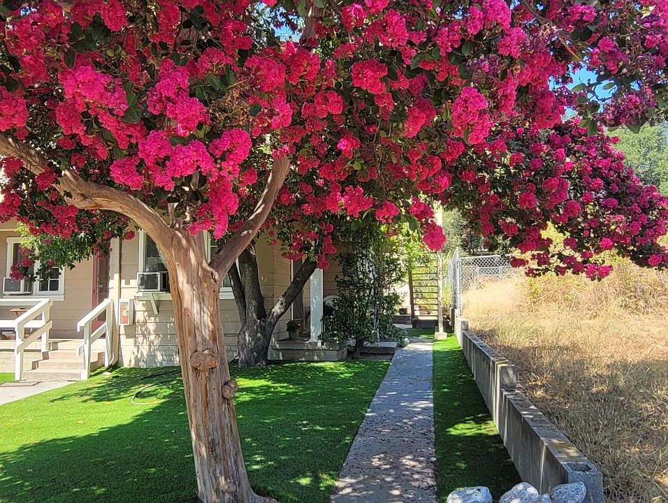 walkway to the unit