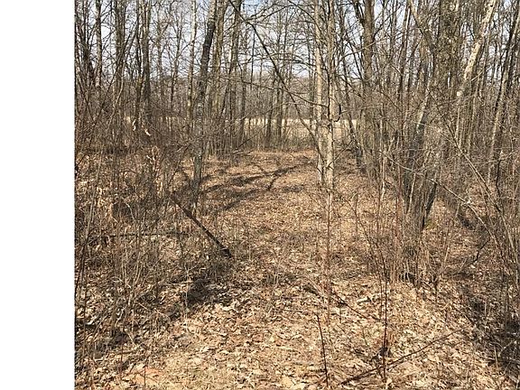5th image of Xxx 230th Street Malmo Twp