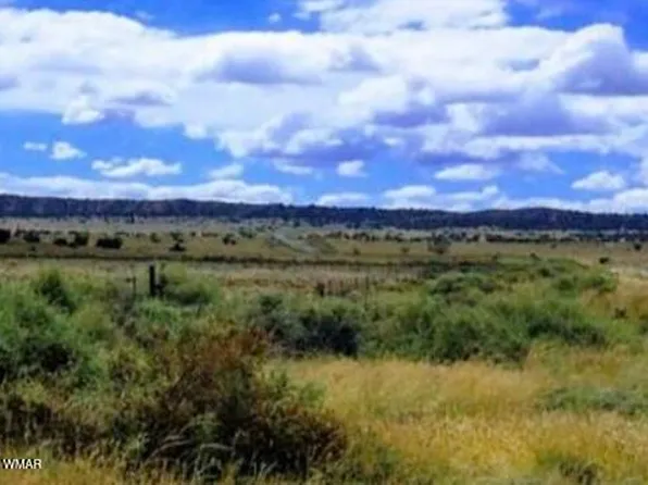 Bell Brand Ranches Lot 115, Sanders, AZ 86512