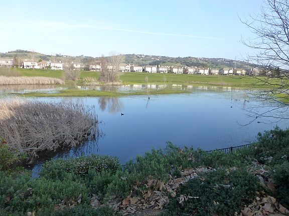 4th image of 3505 Esplanade Cir