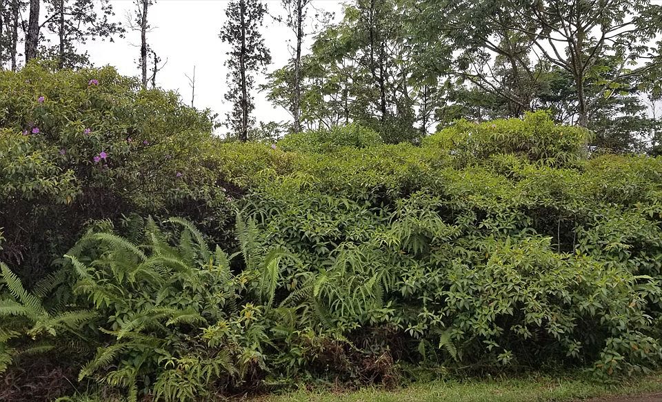 1st image of Paradise Dr Lot 34