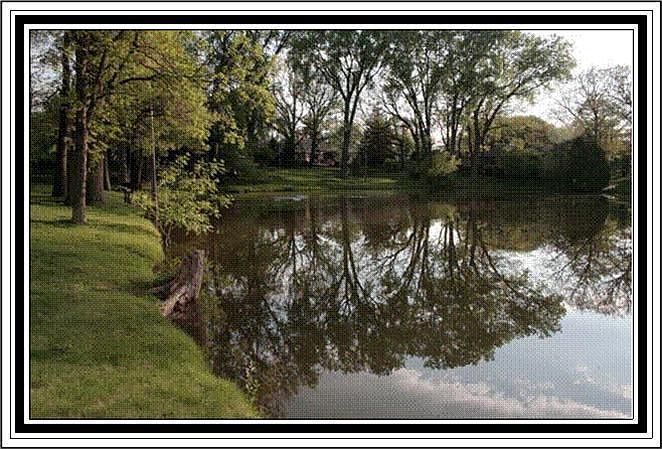 Beautiful Pond Views!