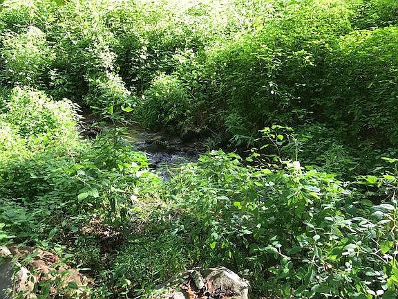 3rd image of Dockery Branch Rd
