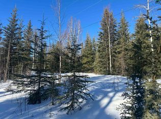 L64 Placer Ln, Delta Junction, AK 99737