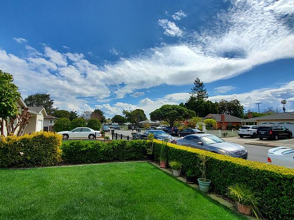 Front yard