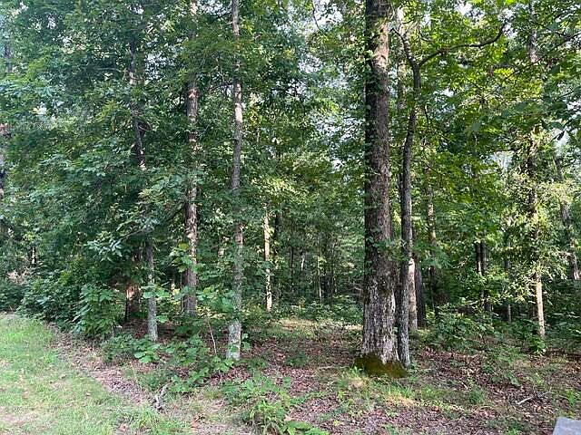 1st image of LOT 99 Woodduck Ln