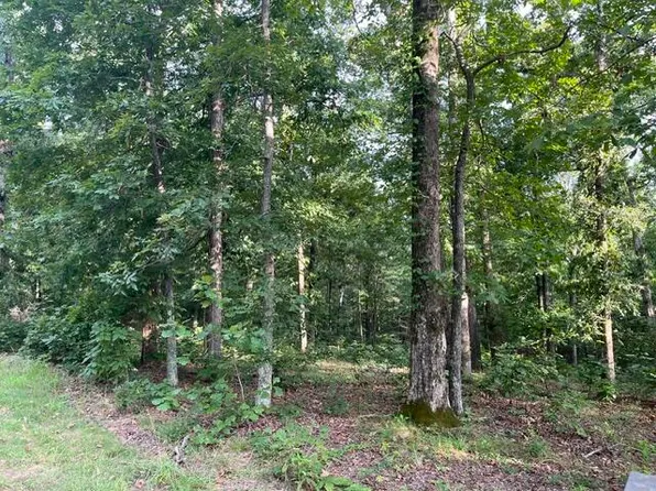 LOT 99 Woodduck Ln, Murray, KY 42071