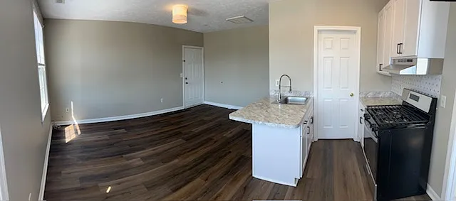 1 bed, 560 sqft, $1,500 — Photo 2
