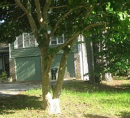 2nd image of 2082 Valley Woods Dr