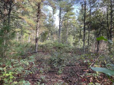 24486 Destiny Avenue, Tomah, WI, 54660