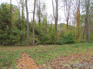 55 Dock Branch Rd, Barnardsville, NC 28709